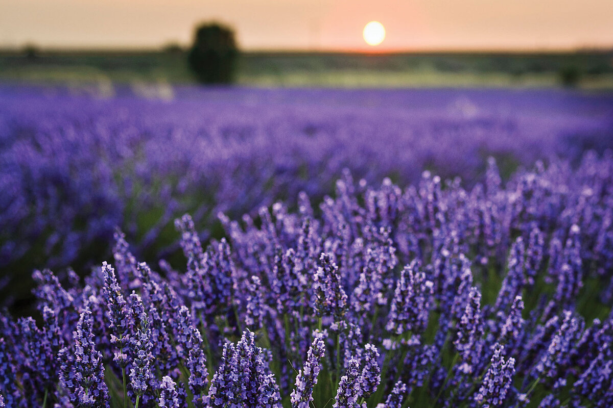 Where art and science inspire, and playgrounds help adults